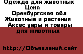 Одежда для животных › Цена ­ 200 - Оренбургская обл. Животные и растения » Аксесcуары и товары для животных   